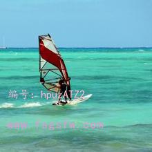 赸