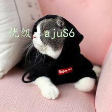 츲