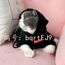 ֳ