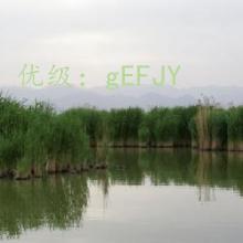 ҵ