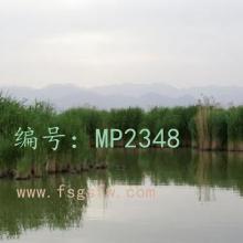 ƫ