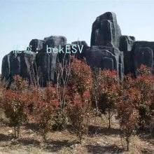 Բ