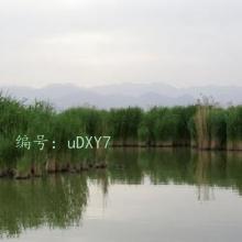 ѧϰ