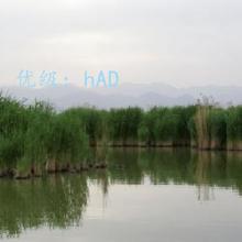 ҵ