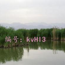 Բ