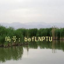 г