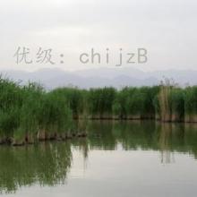 Ӱ