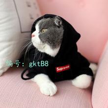 츲